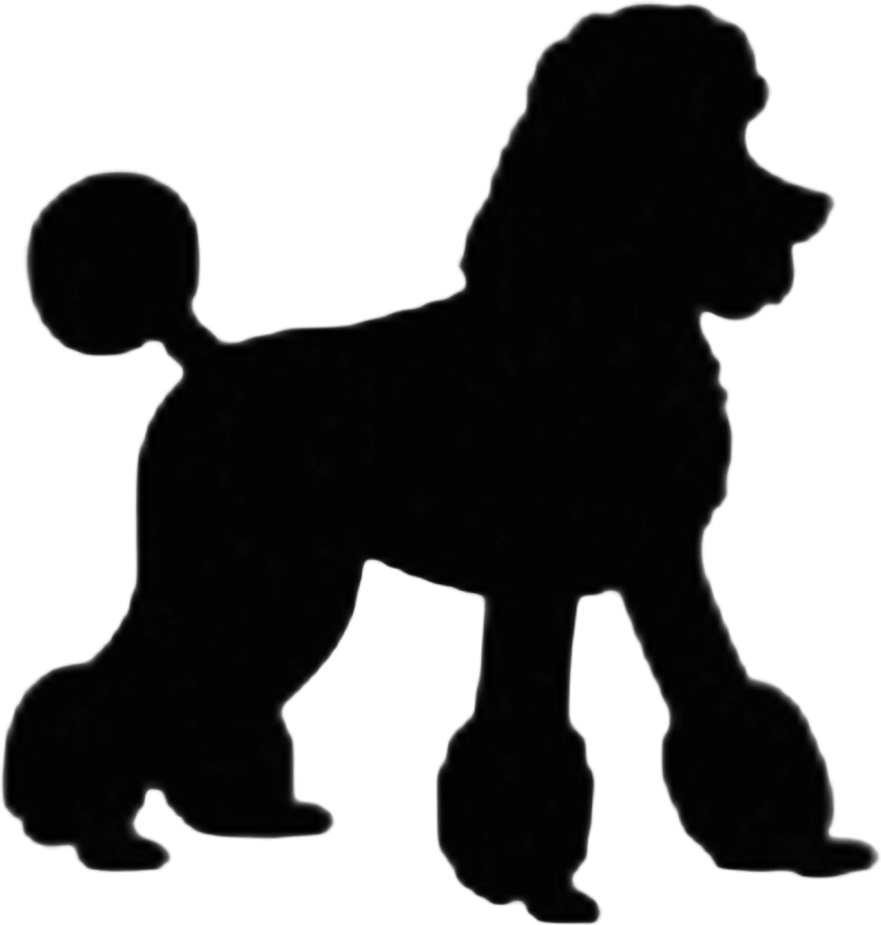 Poodle Silhouette